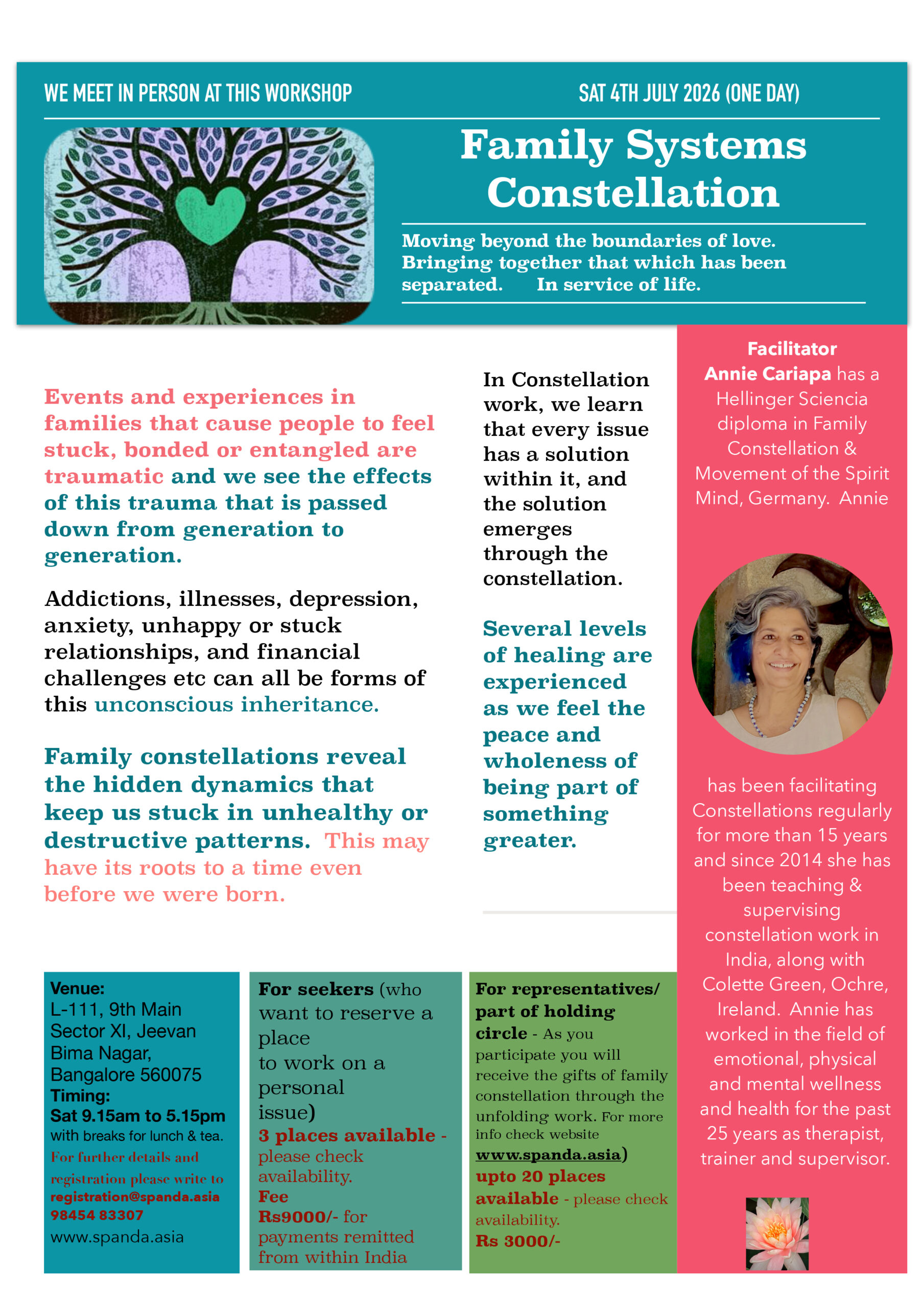 83FAMILY SYSTEM CONSTELLATION copy